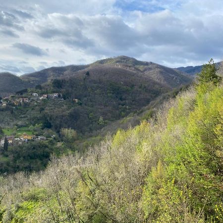 Casa Vacanze Giuliana Villore Exteriér fotografie