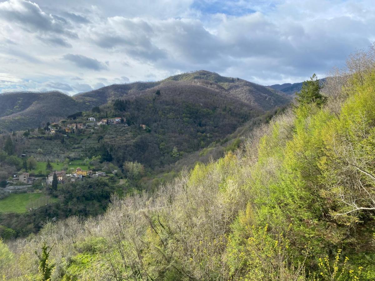Casa Vacanze Giuliana Villore Exteriér fotografie